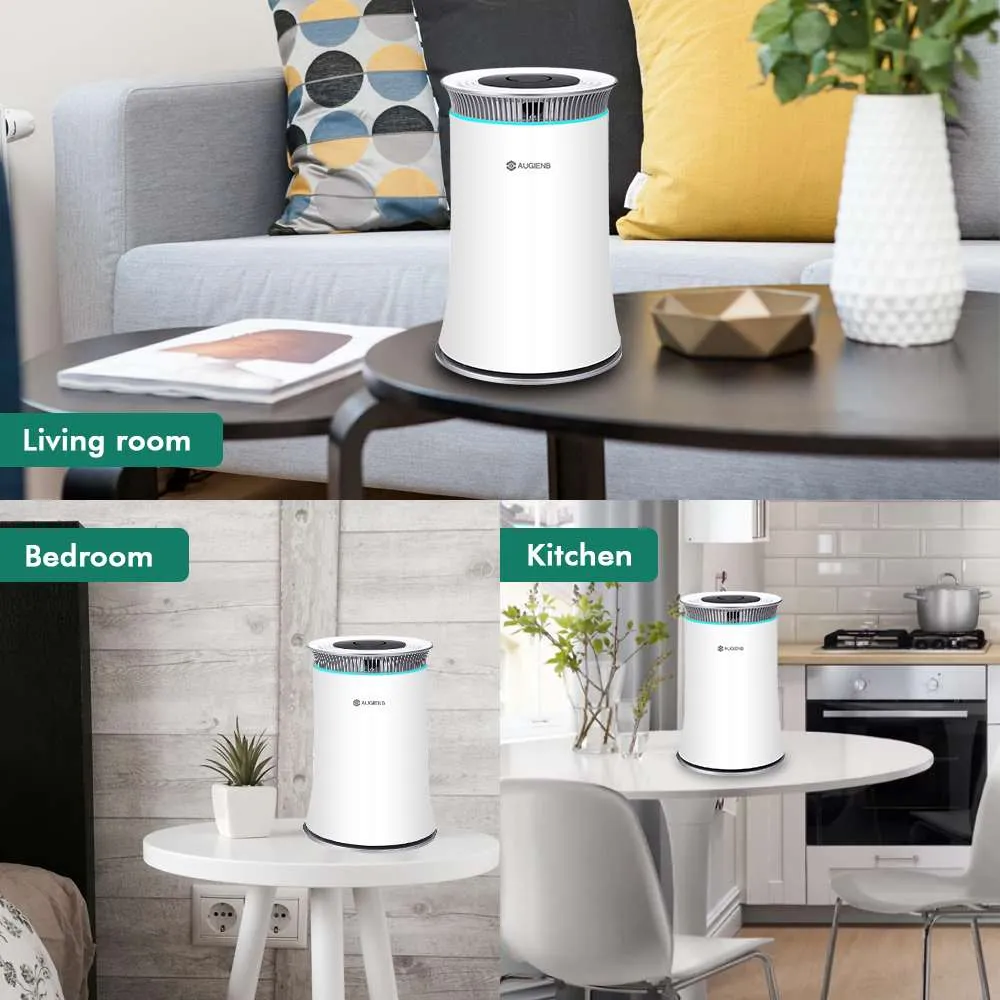 Air Purifier with True HEPA Filter Odor Allergies Eliminator